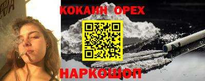 дмт Кандалакша