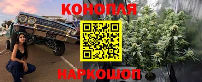 гидра Канаш