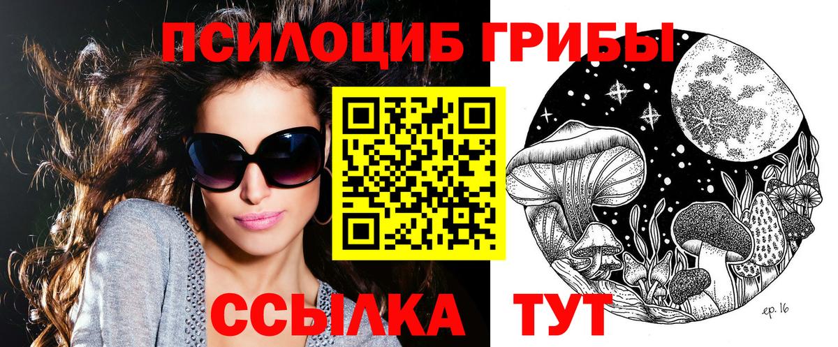 Кудрово  Псилоцибиновые грибы прущие грибы  Вход с VPN 